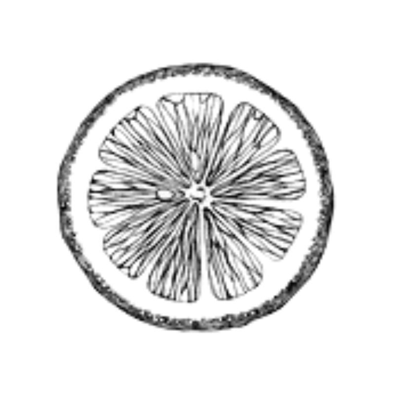 ilustración limón